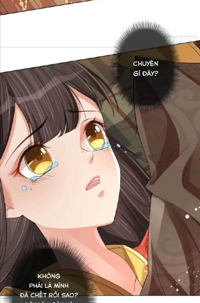 lấy thiên hạ làm sính lễ: vương phi lại trêu ta chapter 1 51