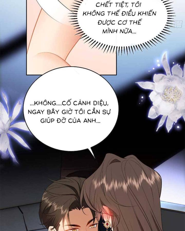 người yêu hợp đồng của chủ tịch chapter 2 72