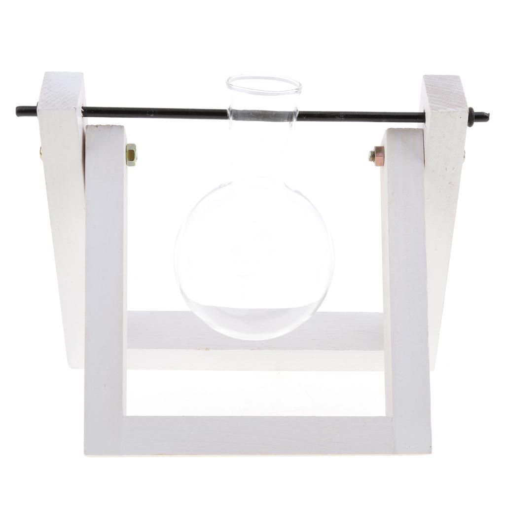 Vintage Glass Tabletop Hydroponic Flower Vase