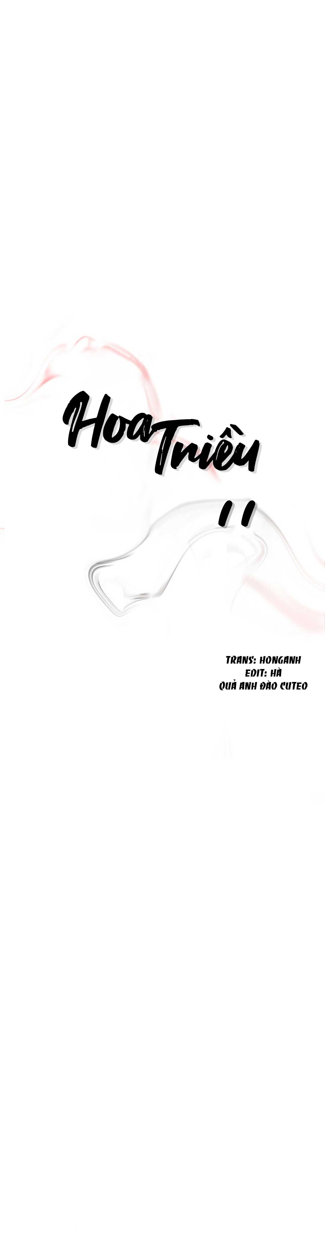 hoa triều chapter 11 1