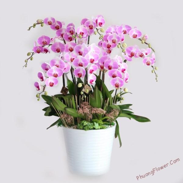 1 kg Que bọc nhựa đa năng