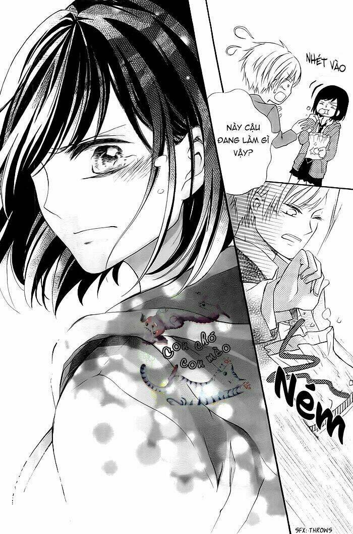 tổng hợp one shot. chapter 370 12