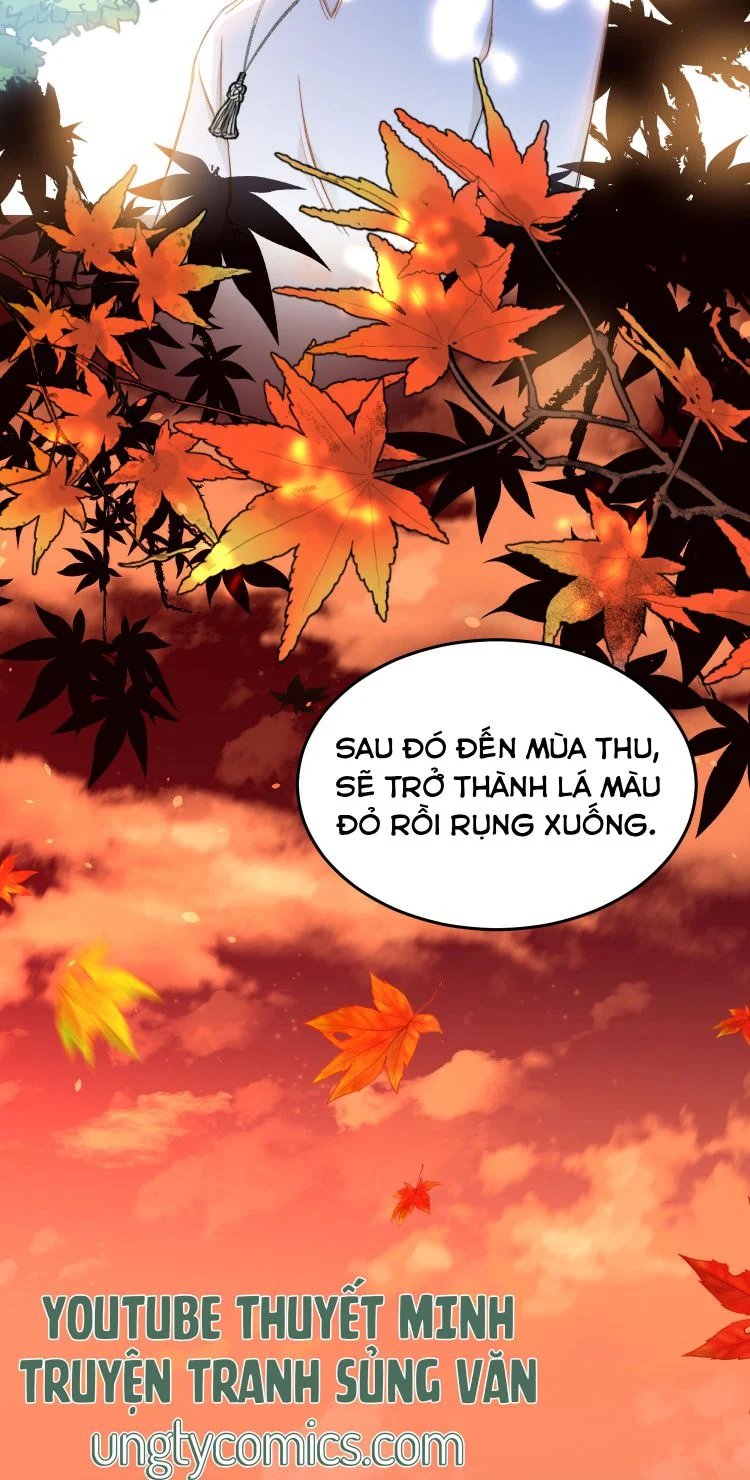 nụ hôn vực thẳm chapter 30 21