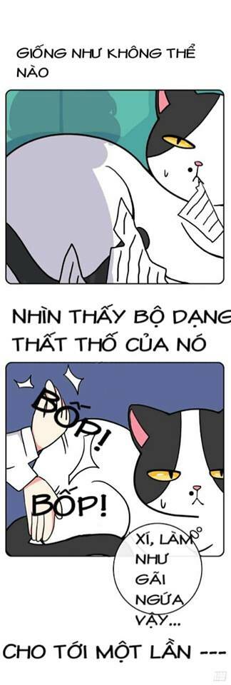 hello dư tuyết đặc chapter 2 5