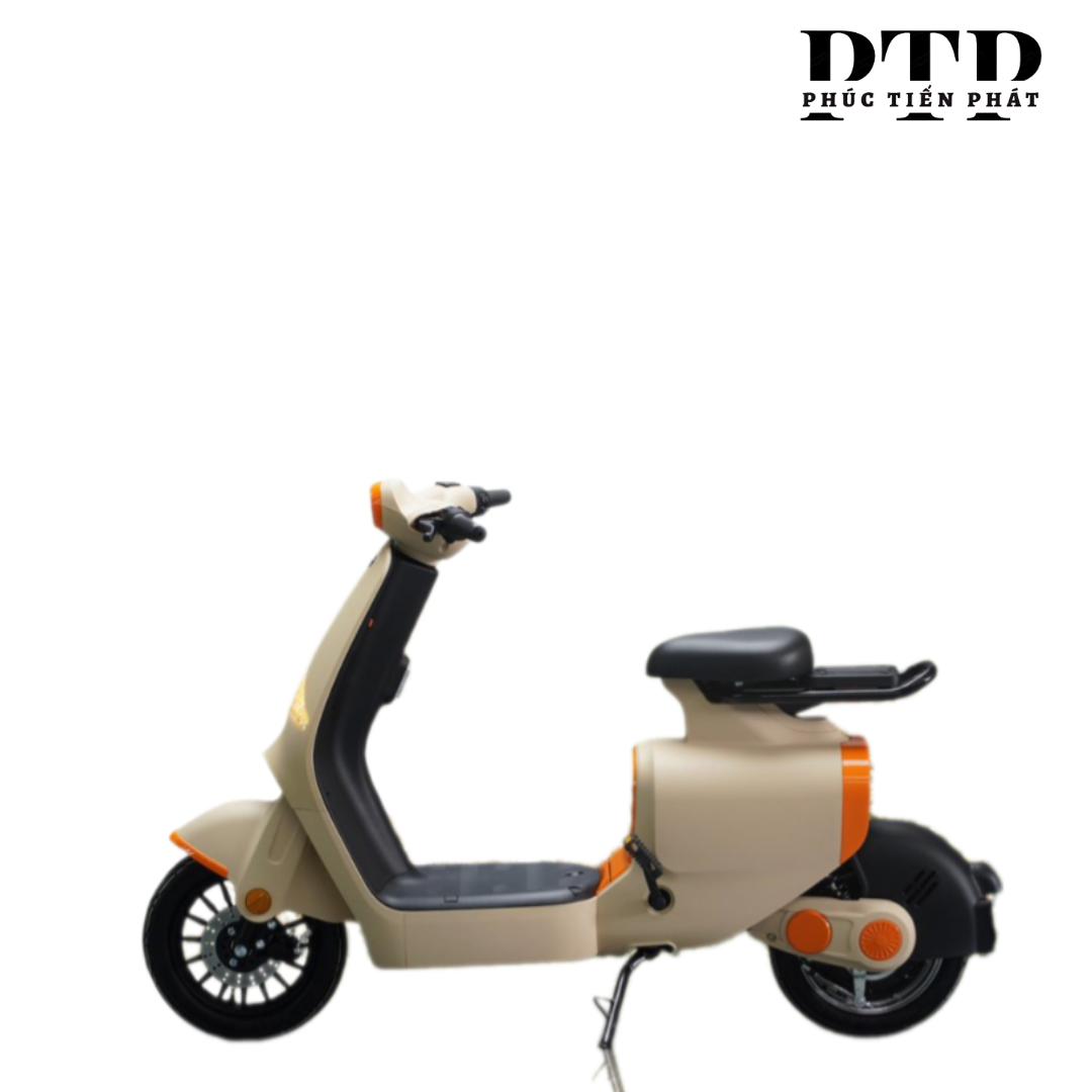 XE ĐẠP ĐIỆN DK S1