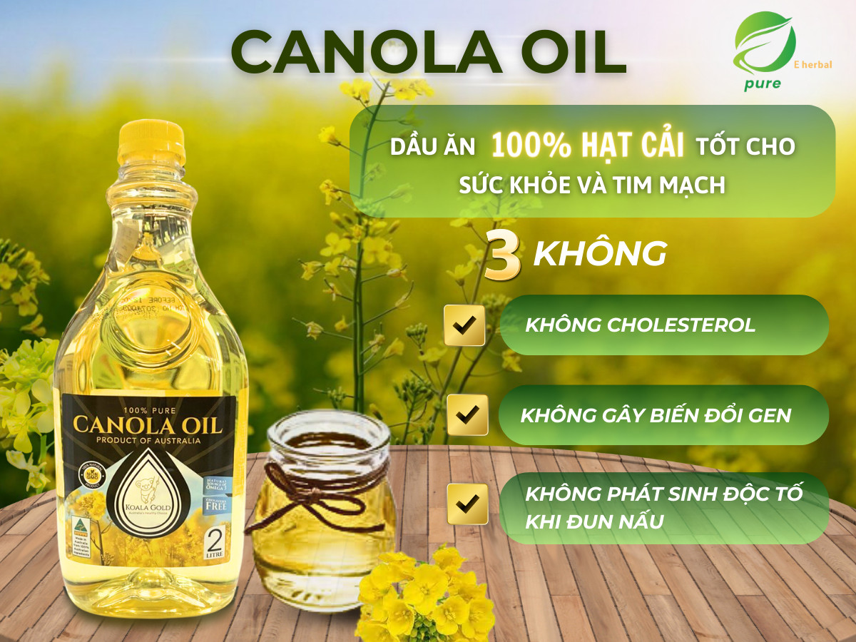 Dầu hạt cải Canola