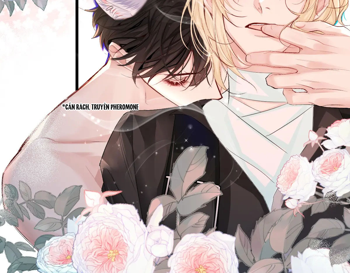 nhân ngư sa ngã chapter 28.1 15