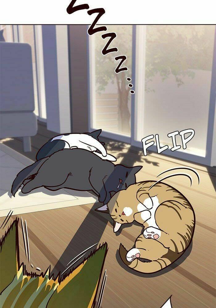 biến thân thành mèo chapter 11 37