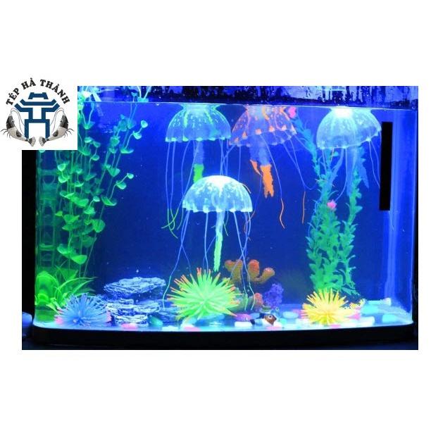 Sứa Biển Phát Sáng Trang Trí Bể Cá Cảnh, Bể Thủy Sinh