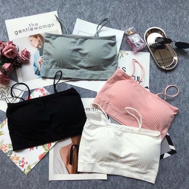 Áo Bra Quây 2 Dây Cotton Thun Tăm Cho Bạn Gái 4 Màu MS 809