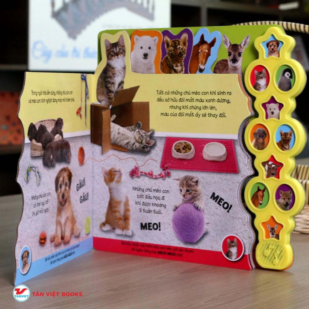 Động vật bé con  - Bản Quyền