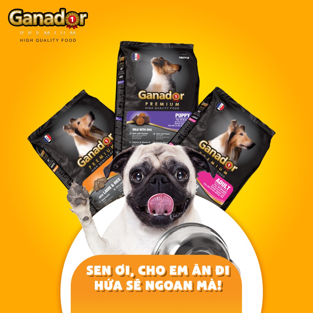 20KG Thức ăn cho chó trưởng thành Ganador vị cá hồi và gạo- Ganador Adult with Salmon &amp; Rice - Thức ăn hạt cho Chó