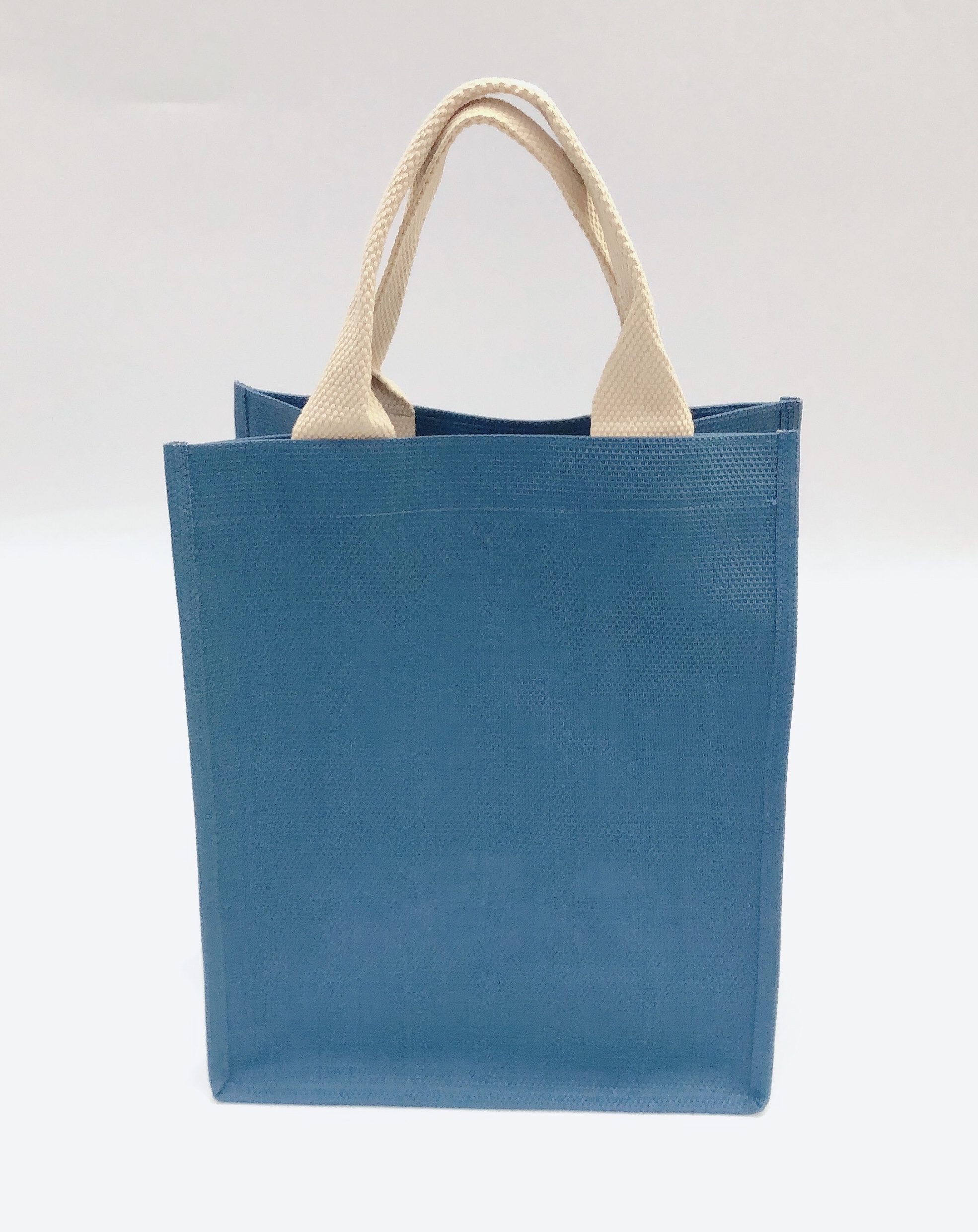 Túi shopping bag 03 - Xanh dương