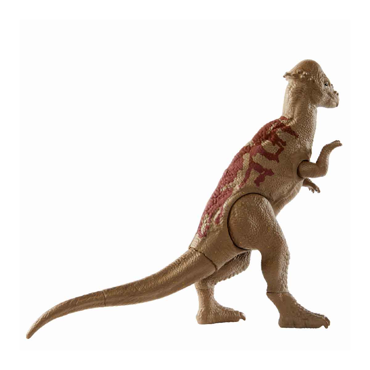 Đồ Chơi Mô Hình Khủng Long Pachycephalosaurus 12 Inch JURASSIC WORLD MATTEL GNH28/GWT54