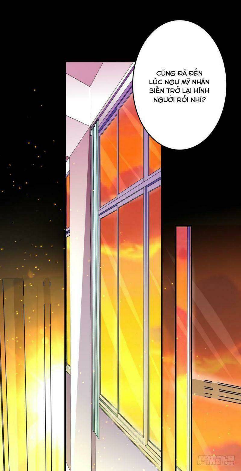 nhân ngư học trưởng, đừng ôm ta! chapter 8 42