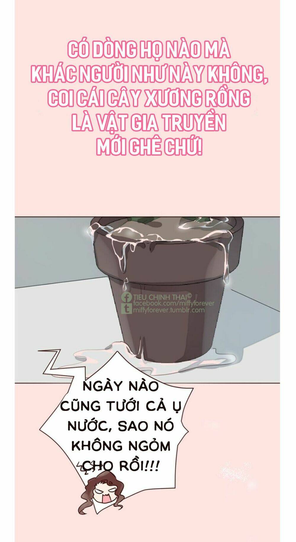 bạn trai xương rồng chapter 0 13