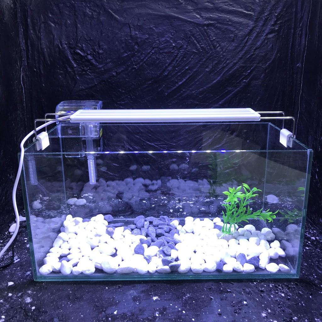 Bể cá mini D40R20C20cm COMBO ĐẦY ĐỦ tặng phụ kiện trang trí