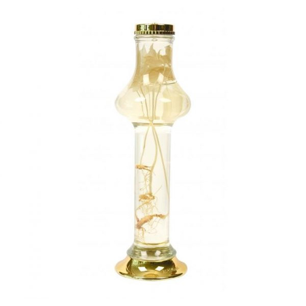 Bình thủy tinh ngâm sâm Hàn Quốc 1,5 lít