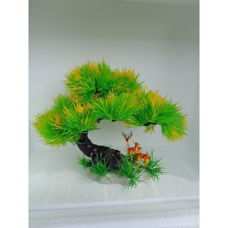 Bonsai bể cá cảnh - cây để bàn - cây trang trí hòn non bộ tiể cảnh