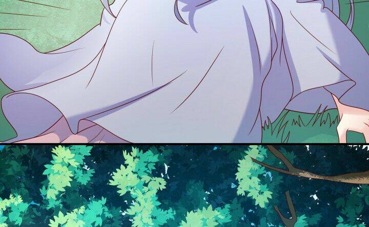 đô đốc đại nhân sủng thê kí chapter 2.2 29