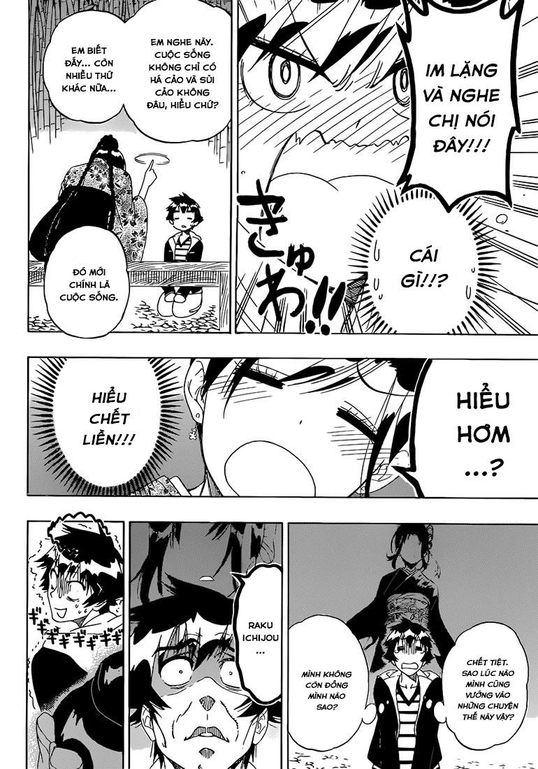 nisekoi - tình yêu giả tạo chapter 173 15