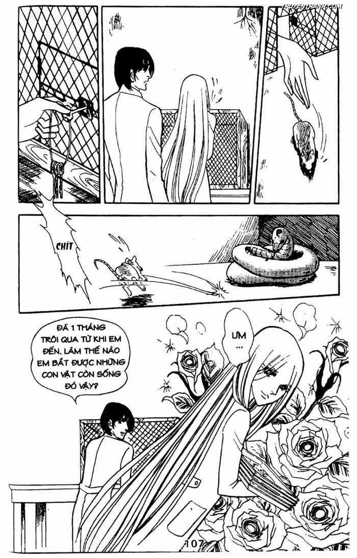 Akuma No Hanayome (Bride Of Deimos) Chapter 18 - Trang 11