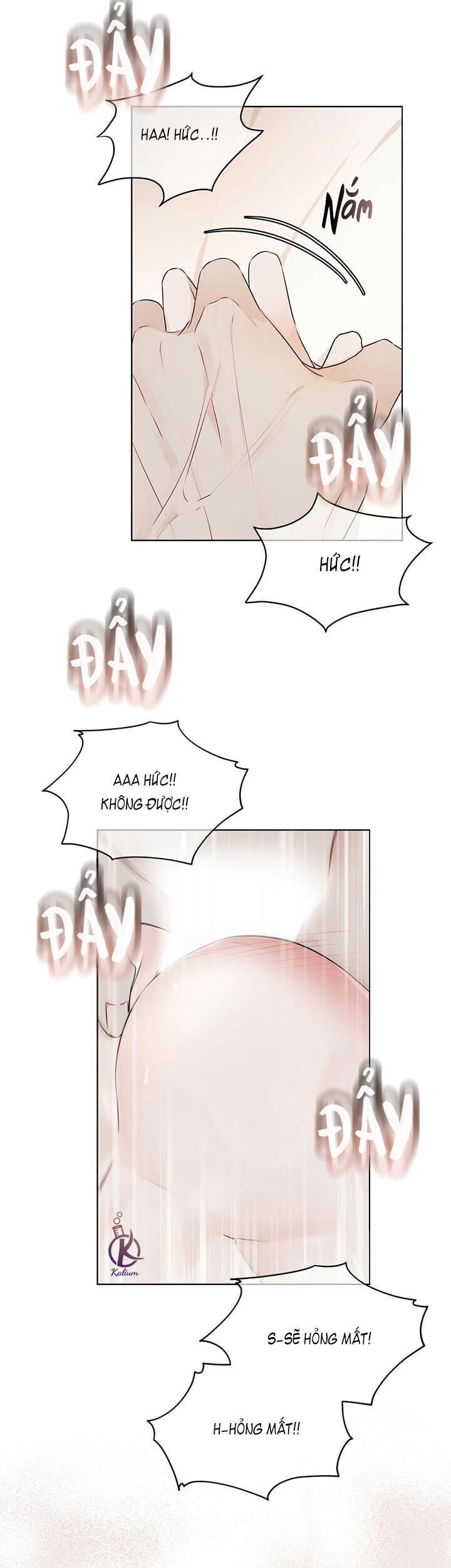 hình thái khởi sinh chapter 28 35