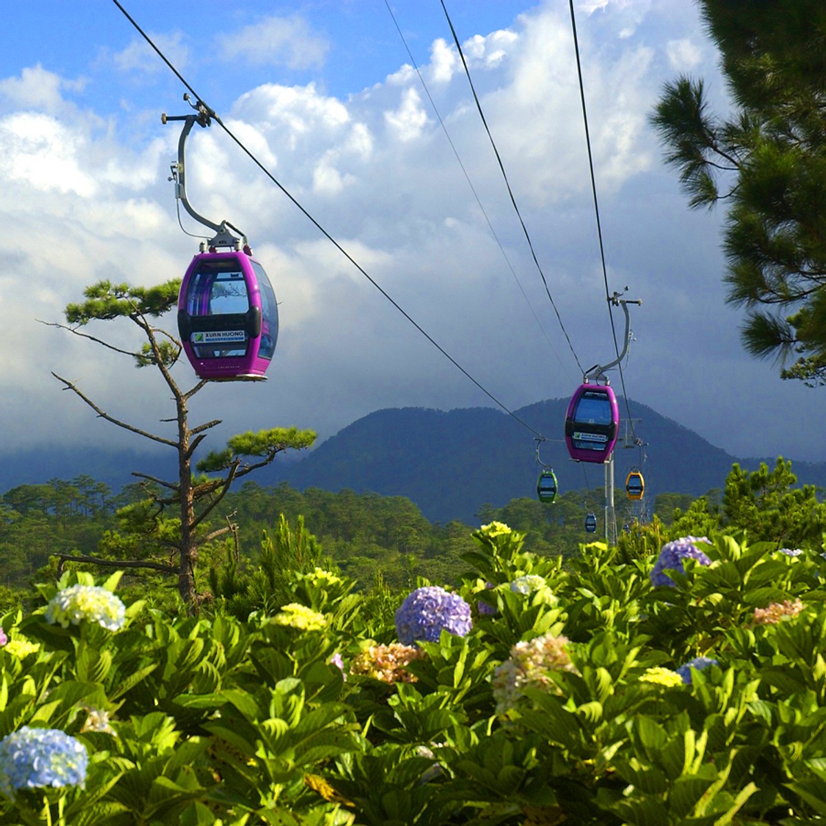 Hình ảnh Tour Đà Lạt 3N3Đ Cổng Trời - Que Garden - Làng Cổ Tích - Nông Trại Cún - Đồi Chè Cầu Đất - LangBiang - Mê Linh Coffee - Cồng Chiêng Tây Nguyên, Khởi Hành Tối Thứ 5 Hàng Tuần & Dịp Lễ Tết