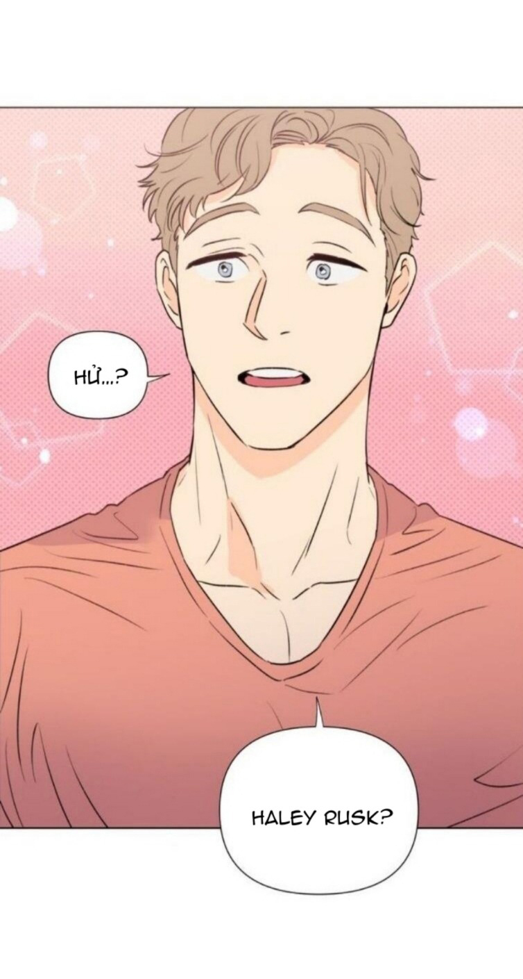 cái giá của sự nổi tiếng chapter 19 19