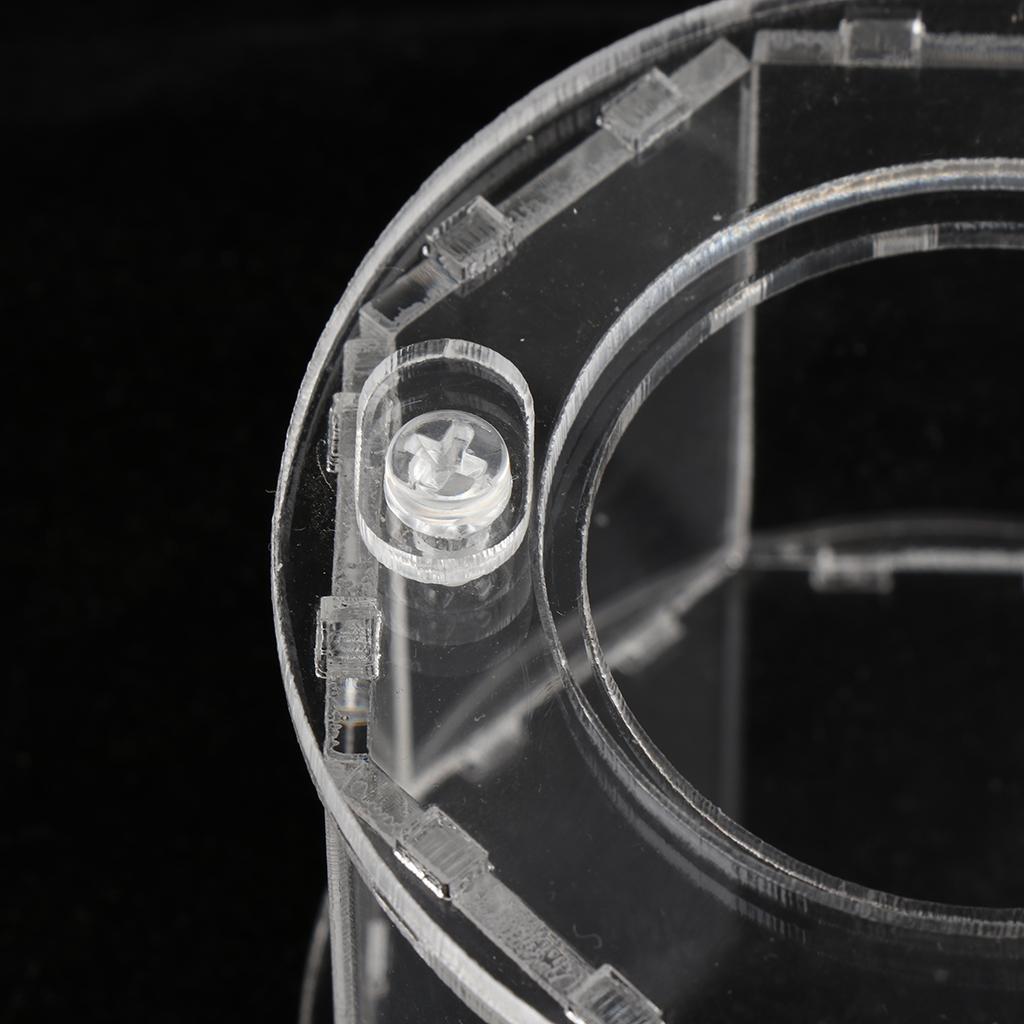 Spider Insect Reptile Tank Vivarium Cage Box Transparent Acrylic Terrarium