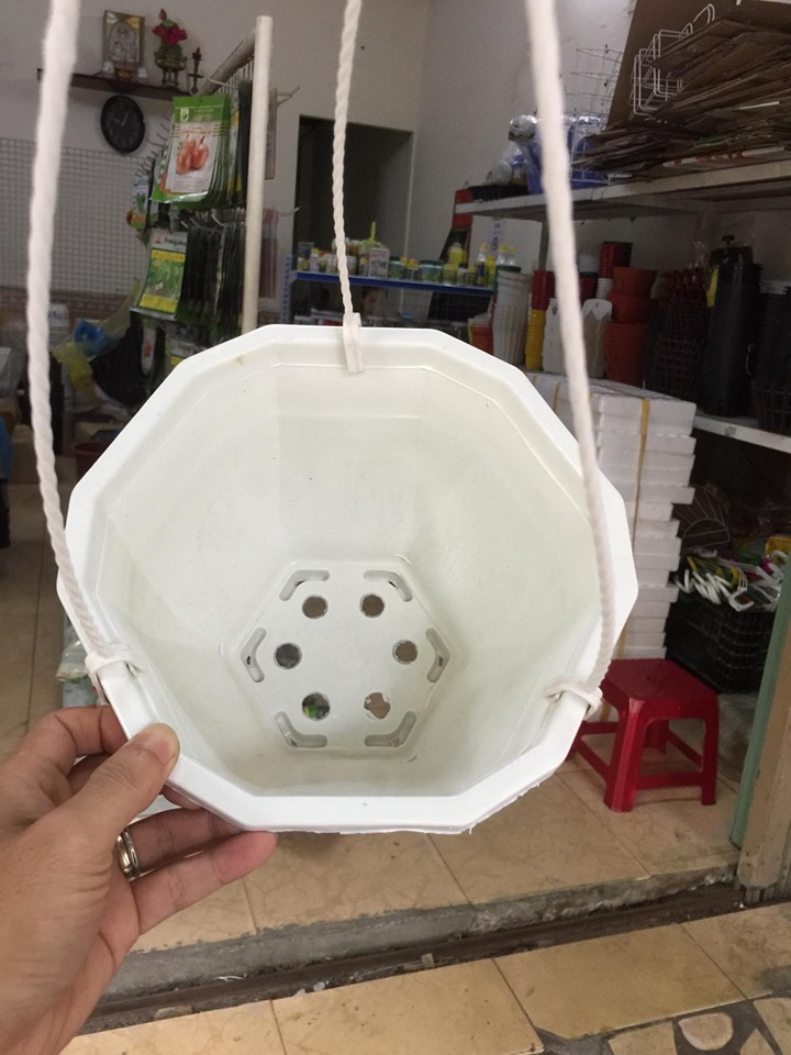 5 chậu nhựa treo lục giác màu trắng 21x15cm