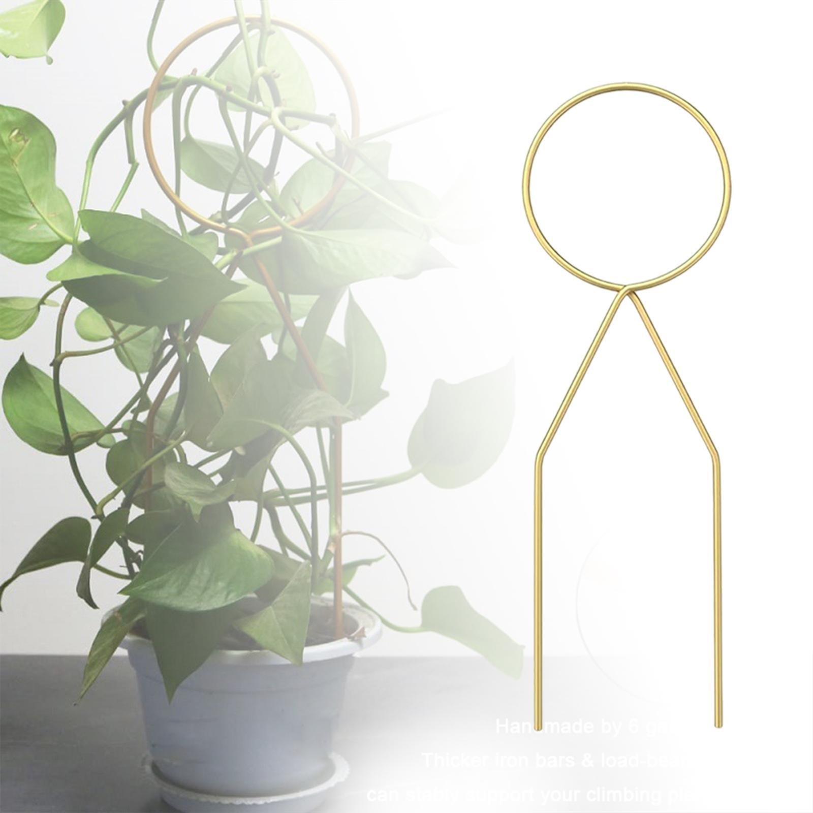 Flower Support Sturdy Support Stake Stand for Backyard Indoor Outdoor