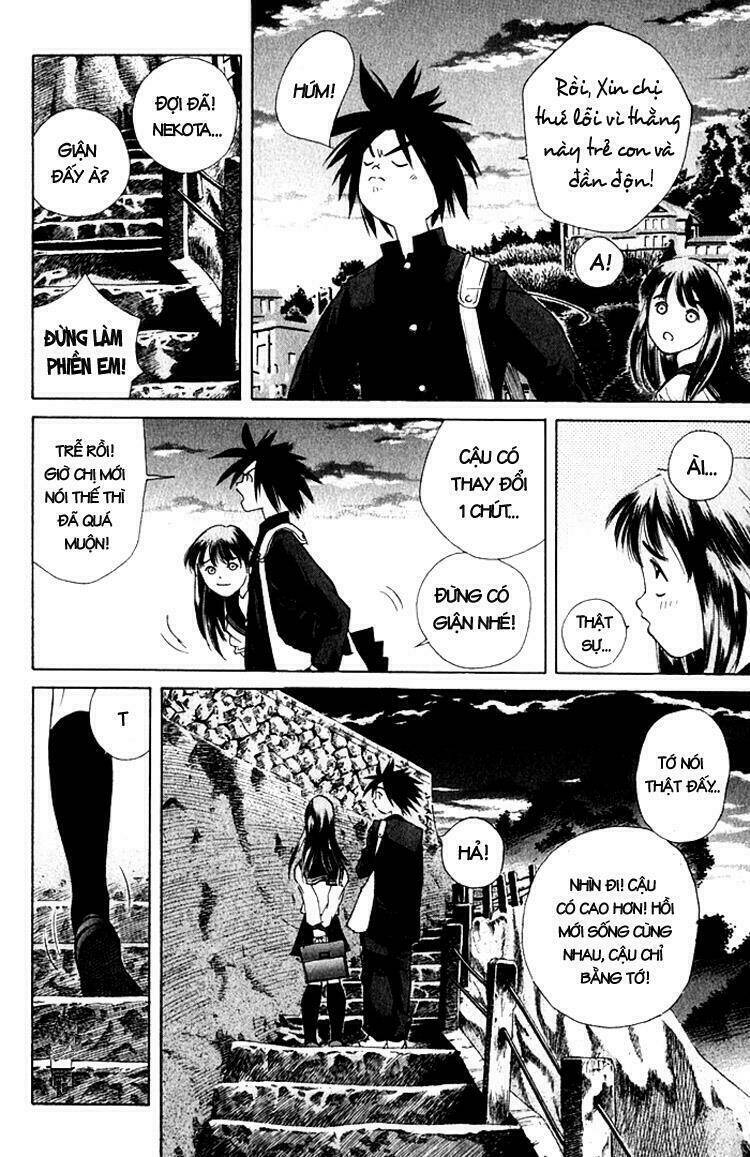 parallel chapter 19 36