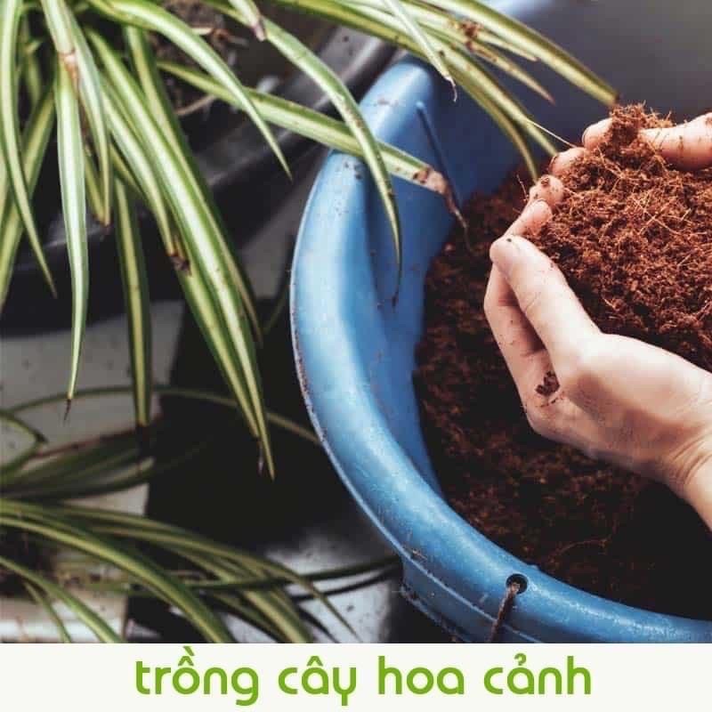 Đất nén hữu cơ dạng viên xơ dừa dinh dưỡng diệt trùng diệt khuẩn kháng bệnh tốt cho cây trồng - rau củ - cây cảnh