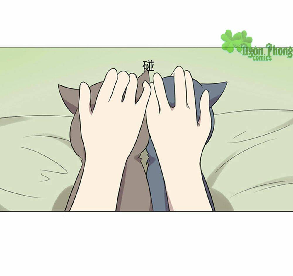 hai chú mèo totem chapter 39 21