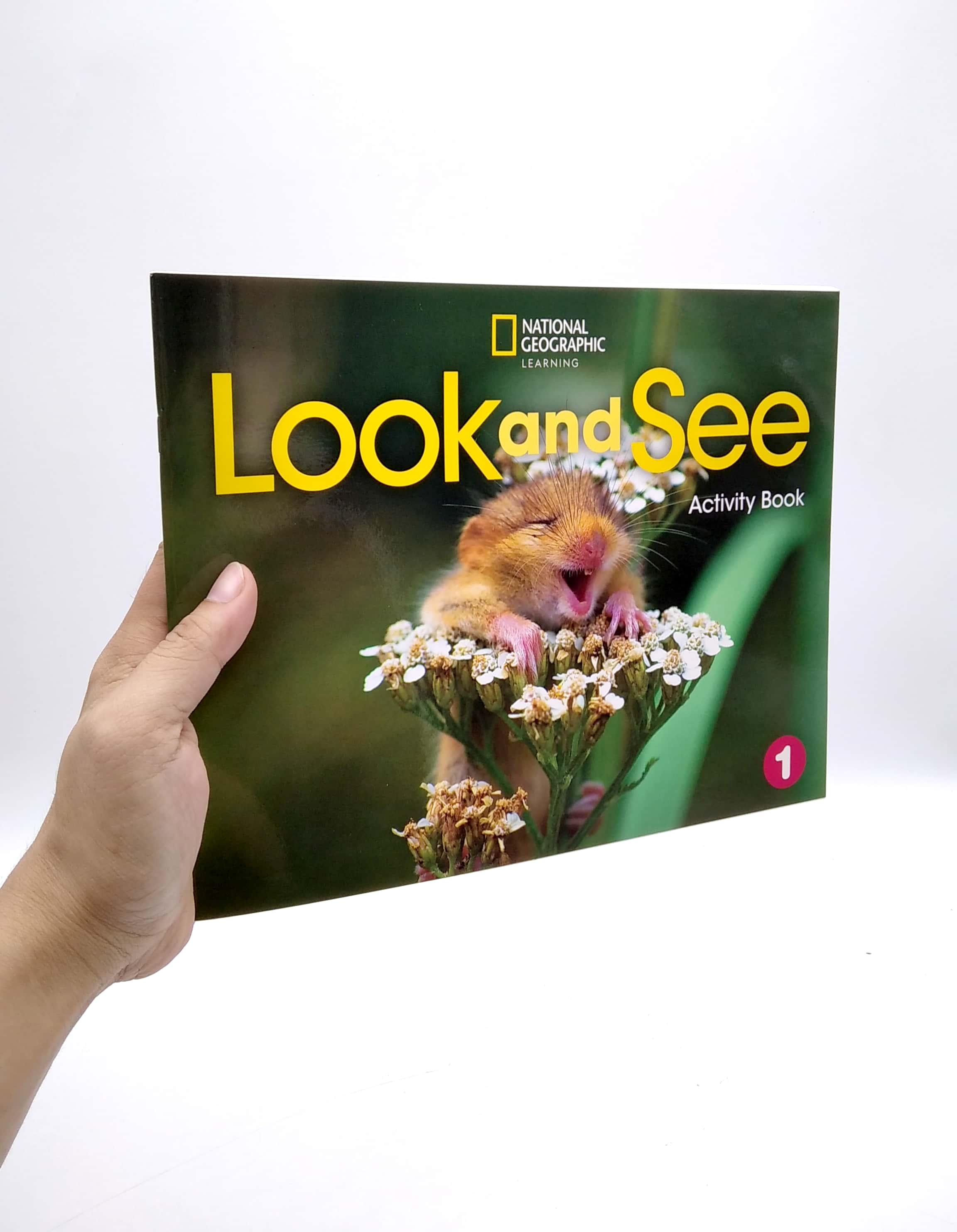 Look And See AME 1: Activity Book