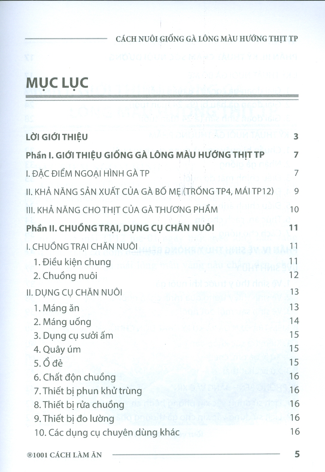 Cách Nuôi Giống Gà Lông Màu Hướng Thịt TP