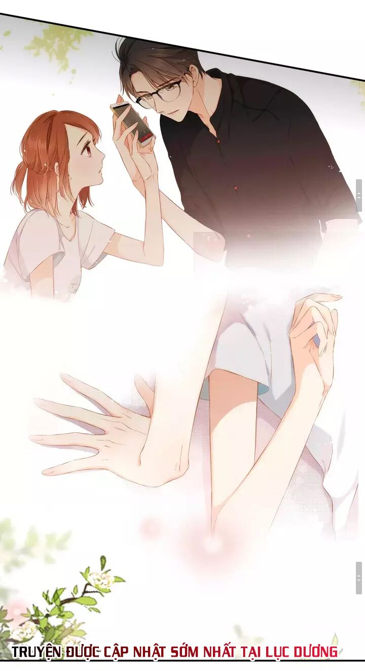 Tình yêu là màu hoa anh thảo chapter 33.1 9