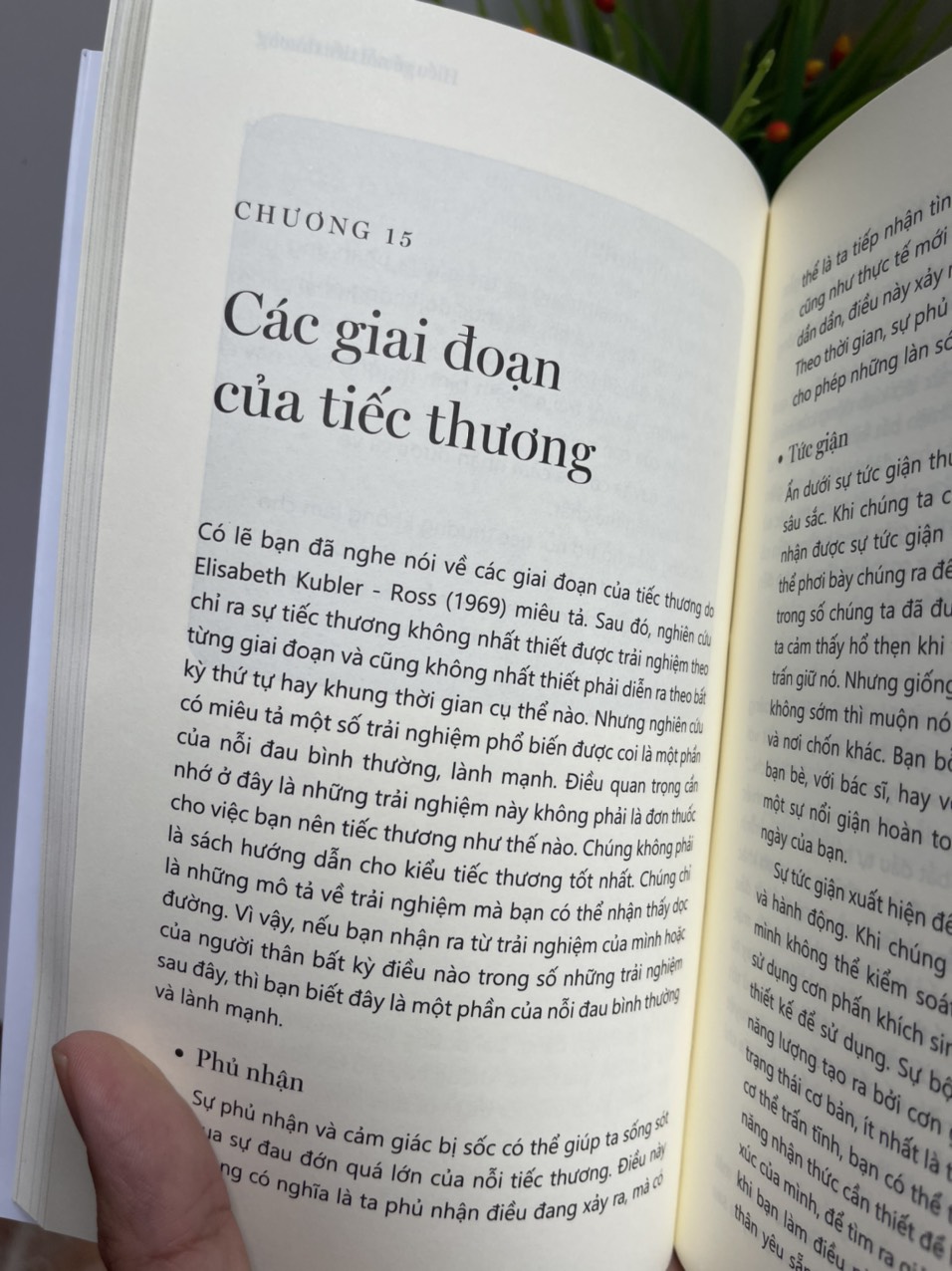 SAO TRƯỚC ĐÂY KHÔNG AI NÓI VỚI TÔI ĐIỀU NÀY? – Bộ công cụ để đối mặt với cuộc sống - Tiến sĩ Julie Smith - Mai Thảo Yên dịch -NXB Trẻ