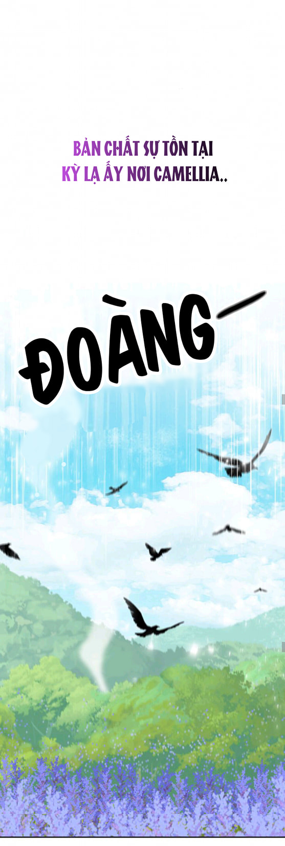 đi tìm nàng camellia chapter 0 22