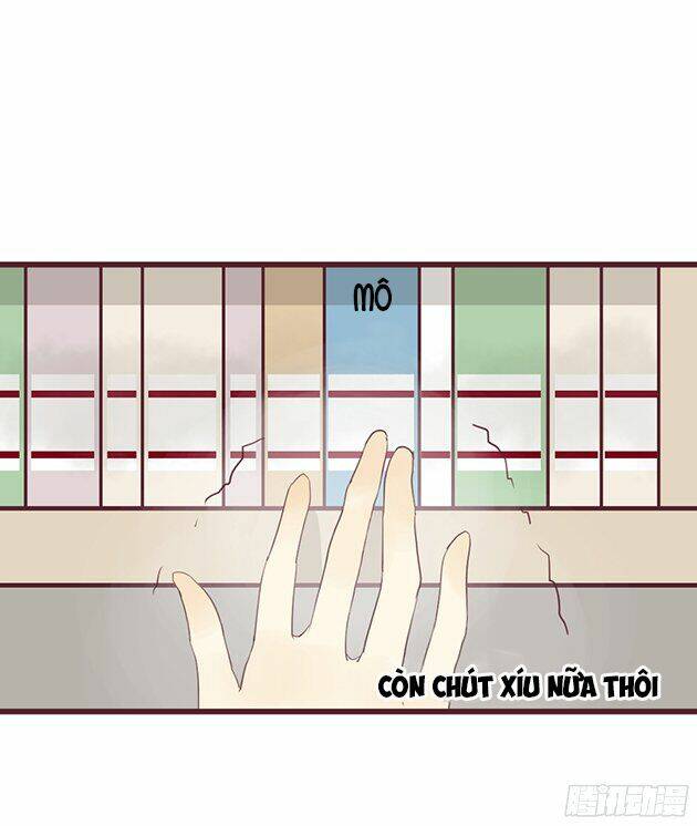 hoa đào nhẹ rơi đẹp như em chapter 2 11