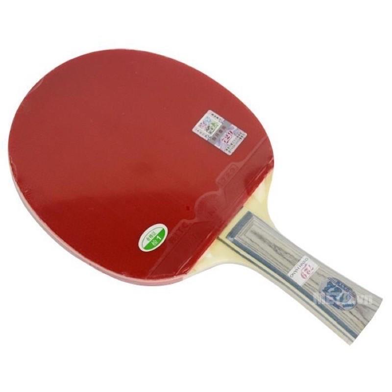 Vợt bóng bàn 729-2040 hàng chinh hãng chất lượng