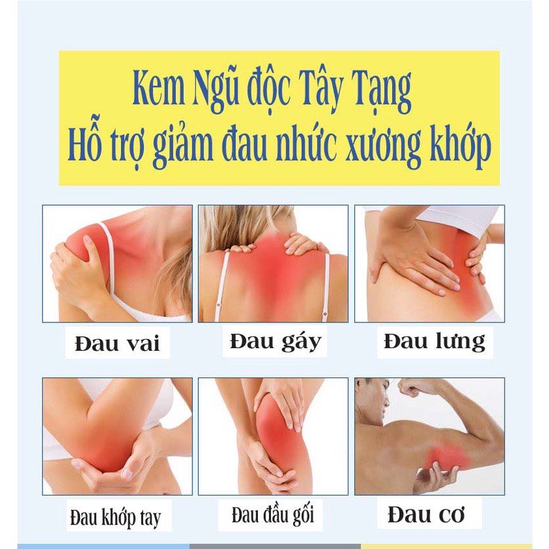 Cao xoa bóp Tây Tạng hỗ trợ giảm đau nhức