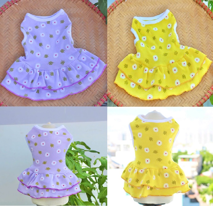 ĐẦM HOA CÚC TƯƠI MÁT DỄ THƯƠNG TỪ 0.5-12KG DÀNH CHO THÚ CƯNG CHÓ MÈO