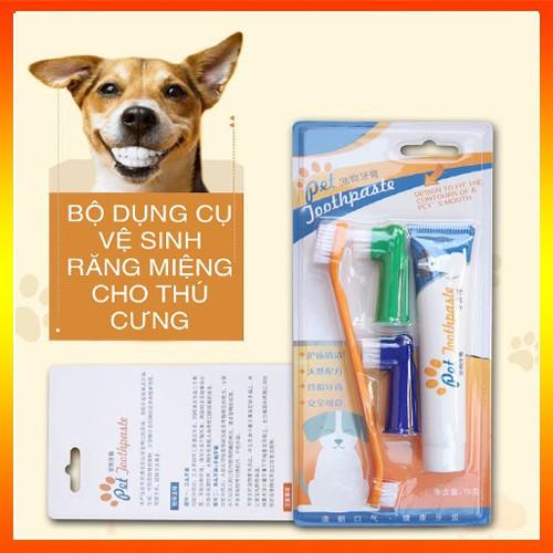 Bộ đánh răng - bàn chải đánh răng chó mèo - vệ sinh răng chó mèo