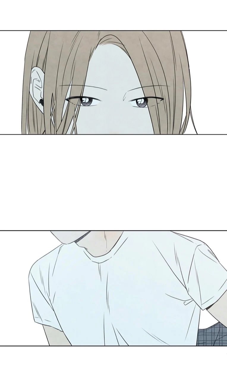 summer solstice point chapter 1 29