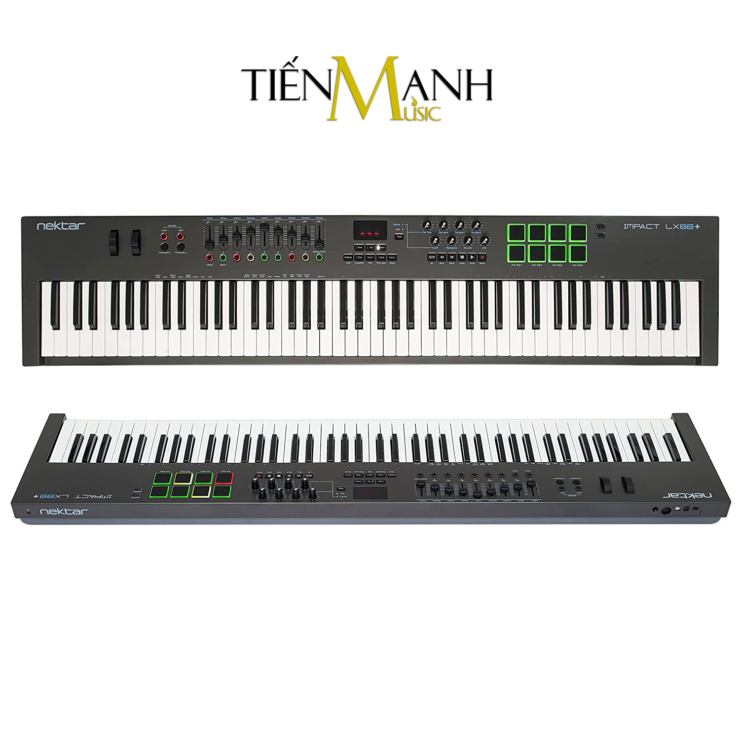 Nektar LX88+ Midi Keyboard Controller 88 Phím Cảm ứng lực Bàn phím sáng tác - Sản xuất âm nhạc Producer LX88 Hàng Chính Hãng - Kèm Móng Gẩy DreamMaker