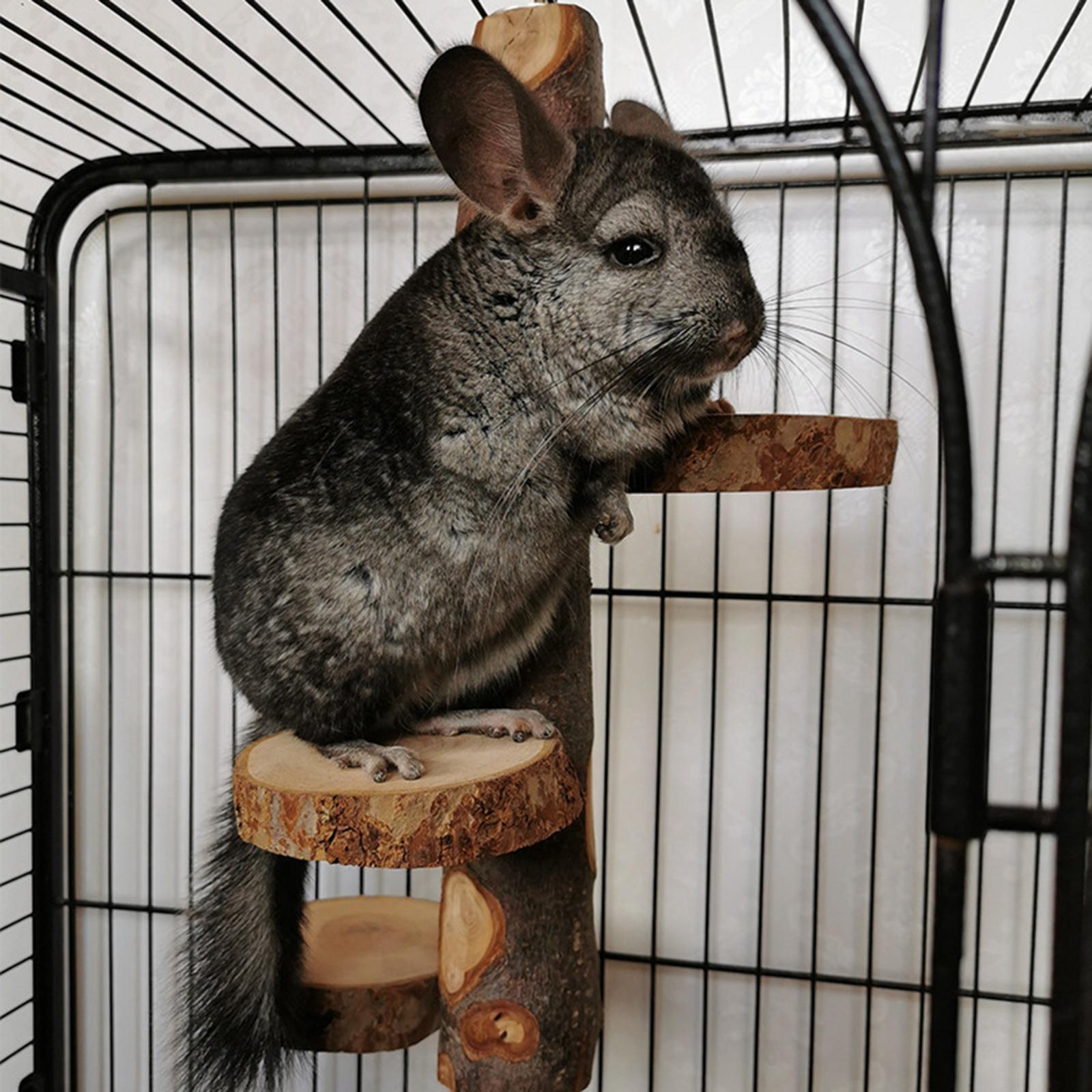 Hamster Chew Toys Gerbil Rodents Toy Stairs Resting Wooden Climbing Ladder