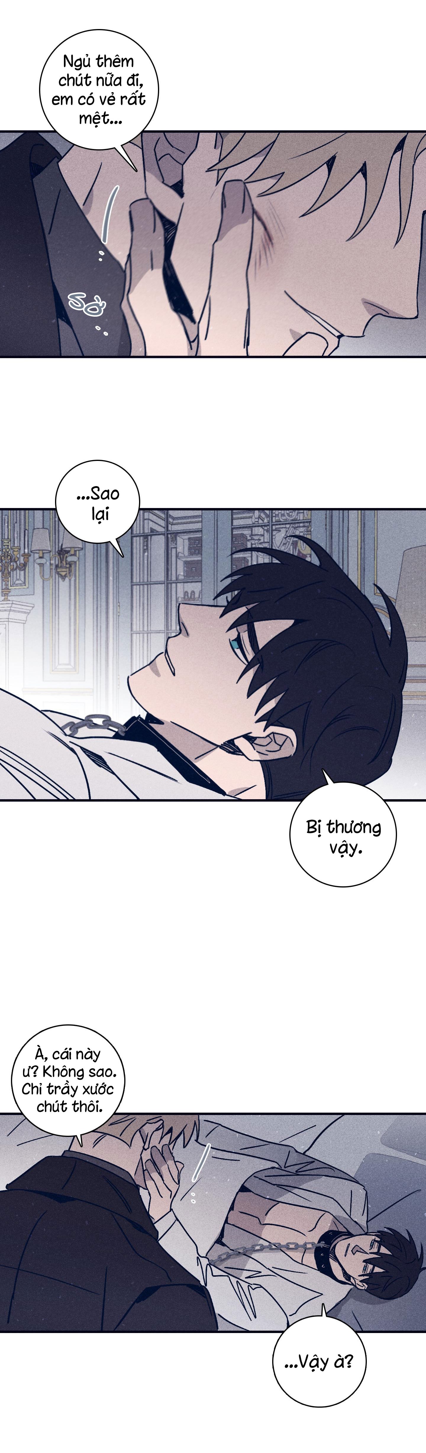 độc dược (marcel) chapter 47 20