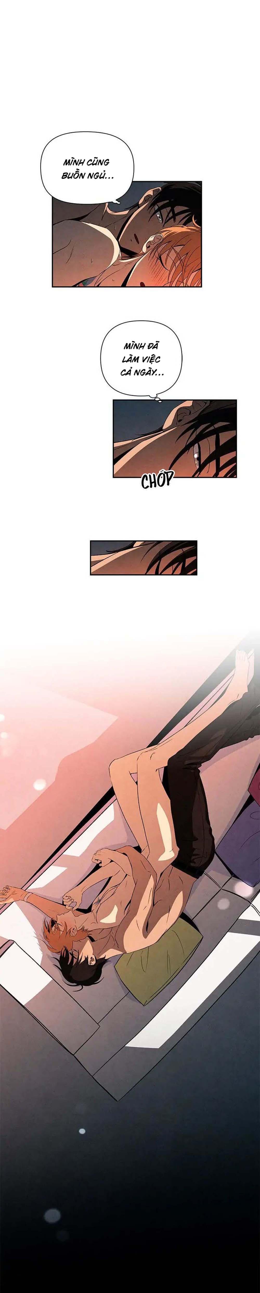 bona sort chapter 11 15